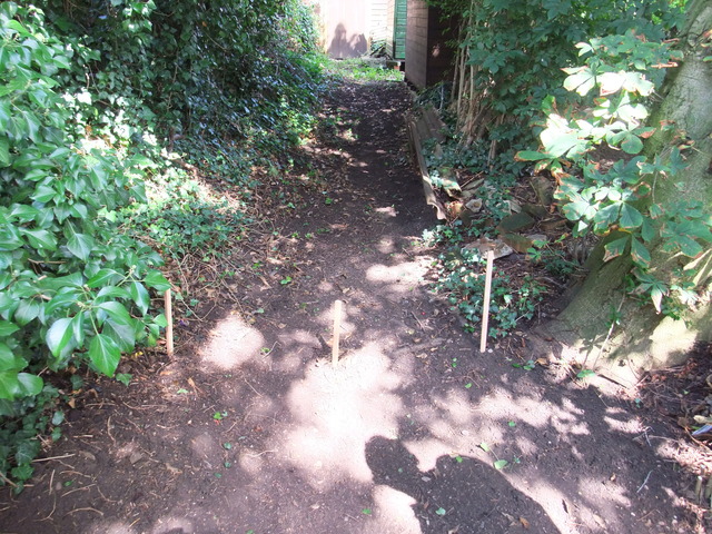 dscf7194.jpg